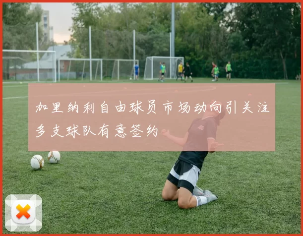 加里纳利自由球员市场动向引关注多支球队有意签约