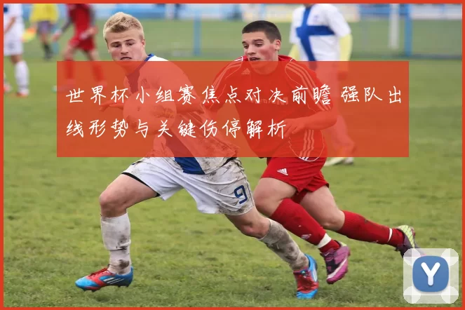 世界杯小组赛焦点对决前瞻 强队出线形势与关键伤停解析