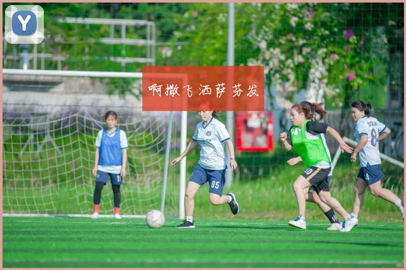 徐静雨解说NBA直播分析勇士队战术调整与胜负关键