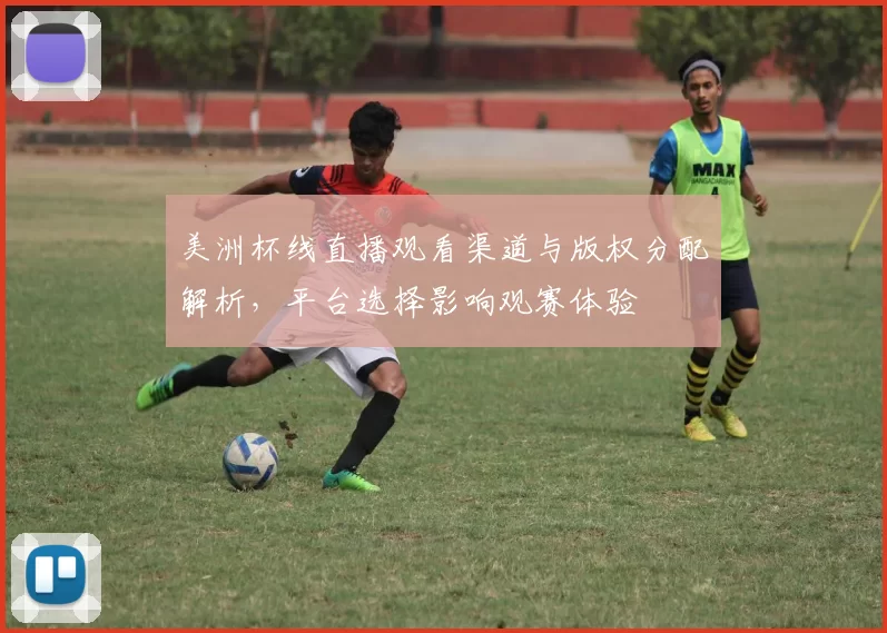 美洲杯线直播观看渠道与版权分配解析，平台选择影响观赛体验