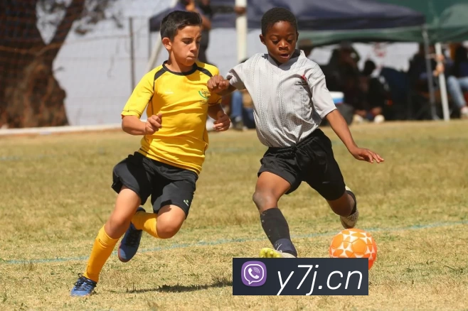 米兰app入口站官网 - 米兰中国品牌故事